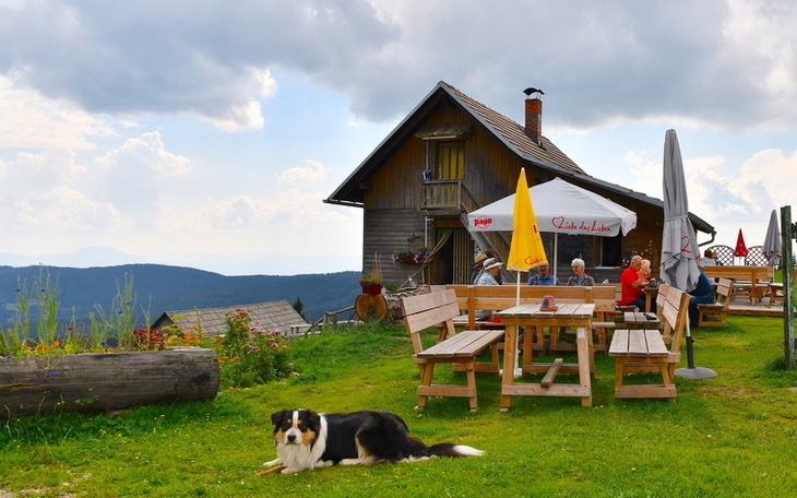 Bild 2
