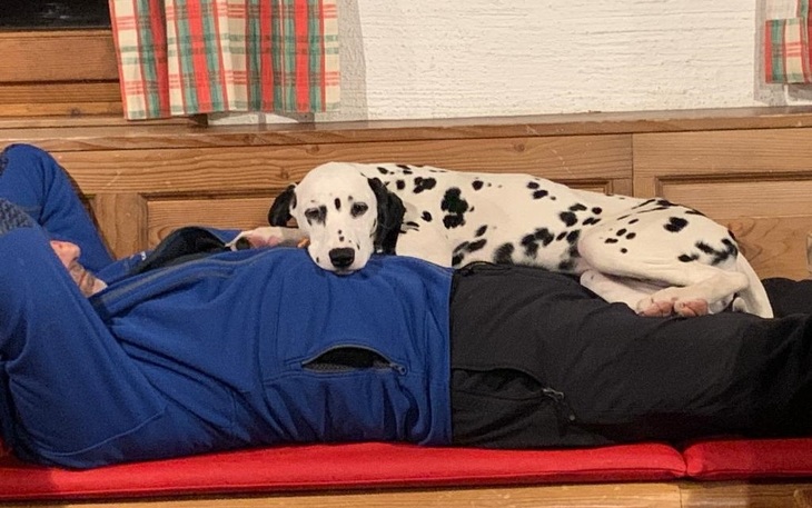 Bild 3