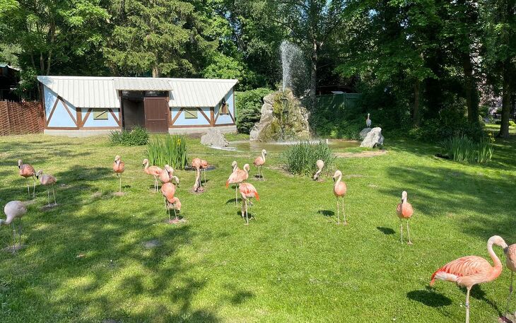 Bild 7