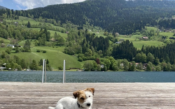 Bild 10