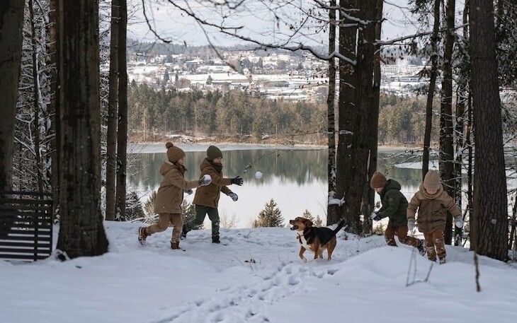 Bild 13