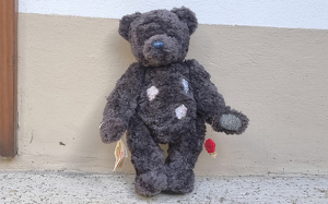 Bild