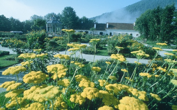 Bild 10