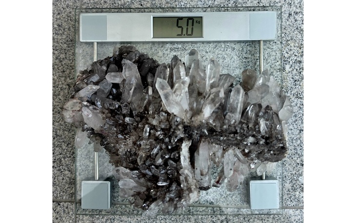 Bild 6